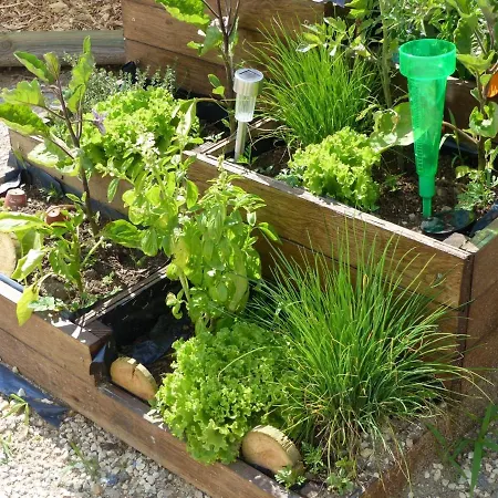 Charmante Maison Bourbonnaise Du Xviiie Avec Animaux Acceptes - Fr-1-489-393 Taxat-Senat