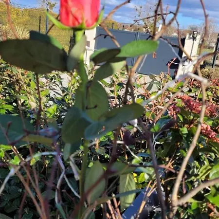 Charmante Maison Bourbonnaise Du Xviiie Avec Animaux Acceptes - Fr-1-489-393 *