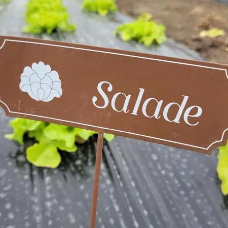 Charmante Maison Bourbonnaise Du Xviiie Avec Animaux Acceptes - Fr-1-489-393 Ferienhaus *