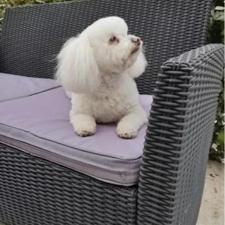 Charmante Maison Bourbonnaise Du Xviiie Avec Animaux Acceptes - Fr-1-489-393 Dom wakacyjny Taxat-Senat
