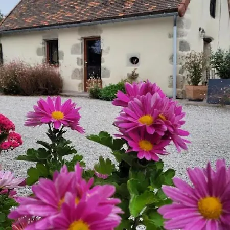 Charmante Maison Bourbonnaise Du Xviiie Avec Animaux Acceptes - Fr-1-489-393 *