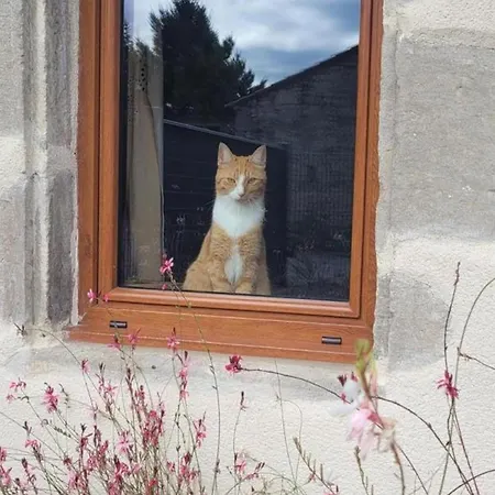 Charmante Maison Bourbonnaise Du Xviiie Avec Animaux Acceptes - Fr-1-489-393 Taxat-Senat
