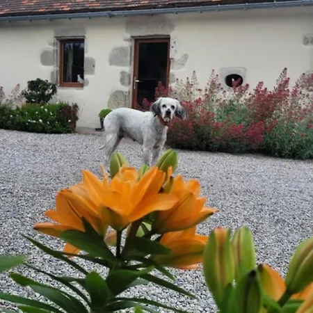 Holiday home Charmante Maison Bourbonnaise Du Xviiie Avec Animaux Acceptes - Fr-1-489-393 *