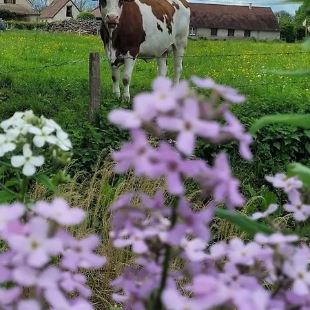 Charmante Maison Bourbonnaise Du Xviiie Avec Animaux Acceptes - Fr-1-489-393