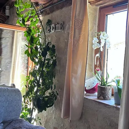 Charmante Maison Bourbonnaise Du Xviiie Avec Animaux Acceptes - Fr-1-489-393 Gospodarstwo wiejskie *