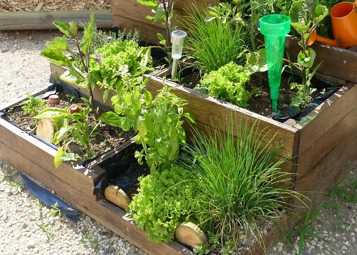 Charmante Maison Bourbonnaise Du Xviiie Avec Animaux Acceptes - Fr-1-489-393 Taxat-Senat