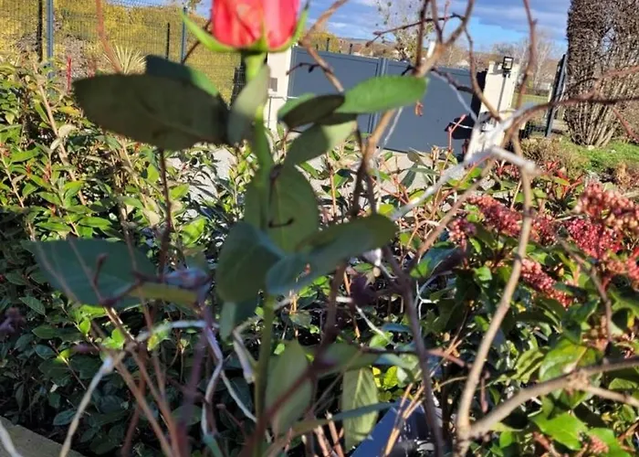 Charmante Maison Bourbonnaise Du Xviiie Avec Animaux Acceptes - Fr-1-489-393 *