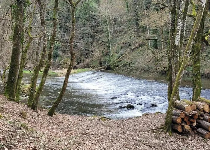 Charmante Maison Bourbonnaise Du Xviiie Avec Animaux Acceptes - Fr-1-489-393 Taxat-Senat
