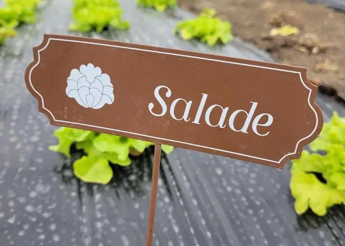 Charmante Maison Bourbonnaise Du Xviiie Avec Animaux Acceptes - Fr-1-489-393 Feriehus *