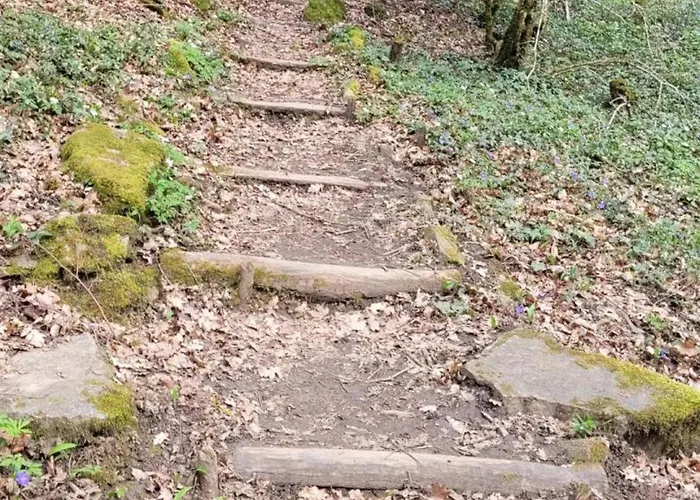 Charmante Maison Bourbonnaise Du Xviiie Avec Animaux Acceptes - Fr-1-489-393 Feriehus