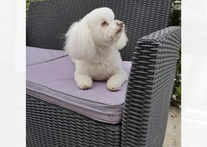 Charmante Maison Bourbonnaise Du Xviiie Avec Animaux Acceptes - Fr-1-489-393 Feriehus Taxat-Senat