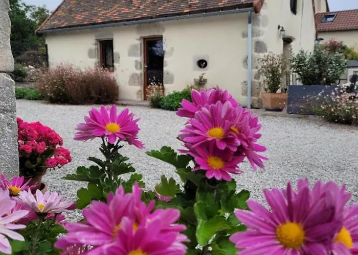 Charmante Maison Bourbonnaise Du Xviiie Avec Animaux Acceptes - Fr-1-489-393 *