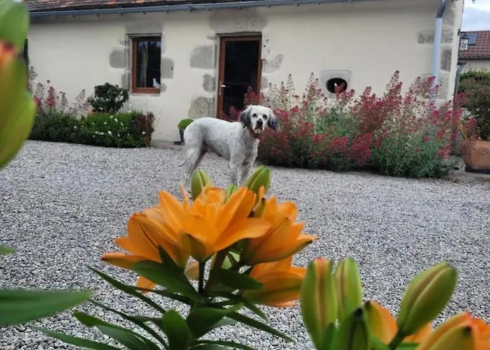Feriehus Charmante Maison Bourbonnaise Du Xviiie Avec Animaux Acceptes - Fr-1-489-393 *